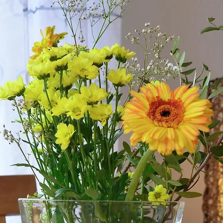 Stylish In With Garden, Cleaning Included Appartement Stormbruch