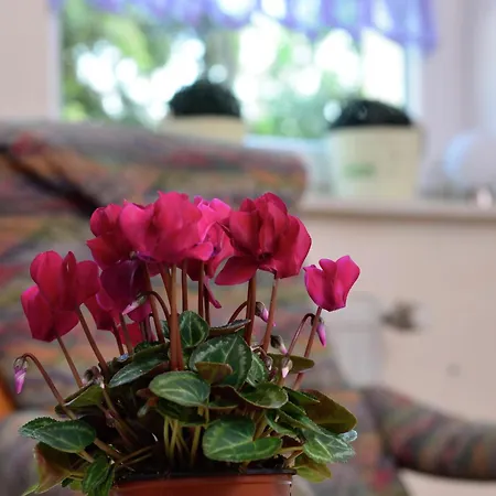 Stylish In With Garden, Cleaning Included Appartement
